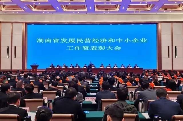 热烈祝贺我司董事长何朝晖被授予“湖南省发展非公有制经济和中小企业先进个人”