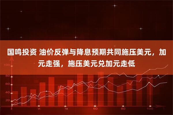 国鸣投资 油价反弹与降息预期共同施压美元，加元走强，施压美元兑加元走低