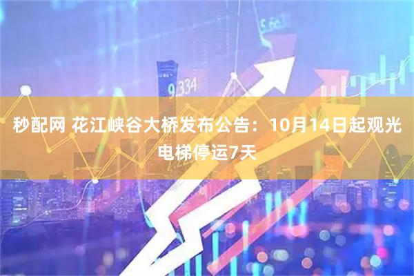 秒配网 花江峡谷大桥发布公告:10月14日起观光电梯停运7天