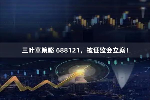 三叶草策略 688121，被证监会立案！